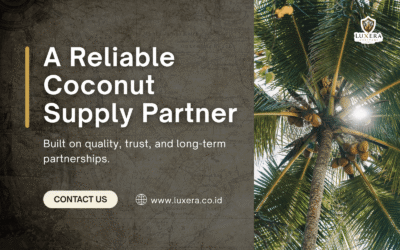 A Reliable Coconut Supply Partner